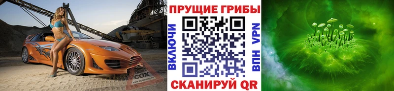 Псилоцибиновые грибы ЛСД Купить закладки Новая Ладога